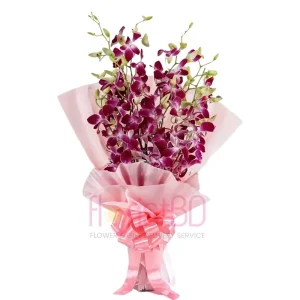 premium-purple-orchid