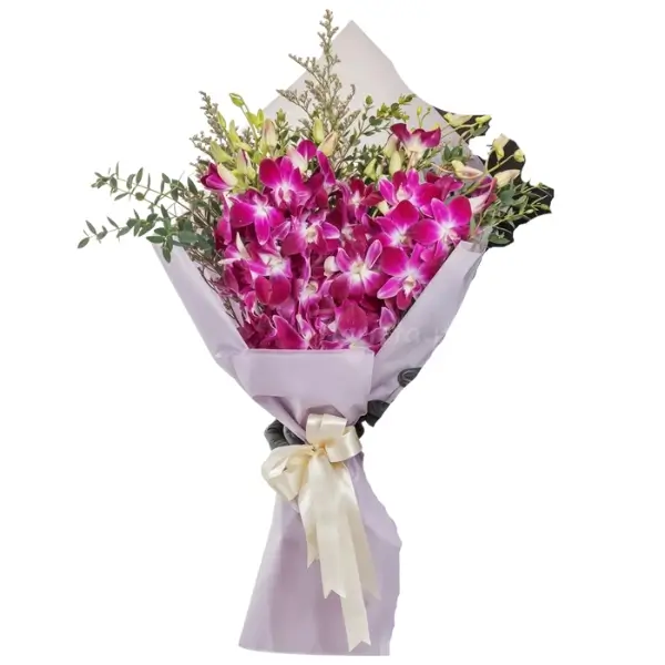 Royal Orchid Surprise