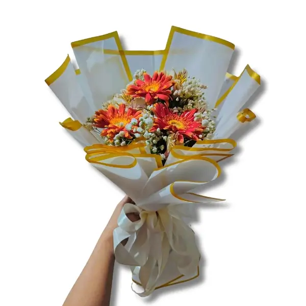 Gerbera Gift for Her