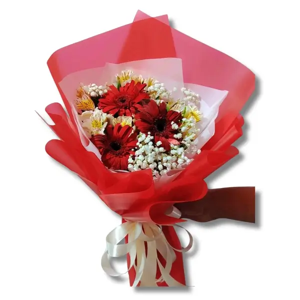 Red Gerbera Bouquet