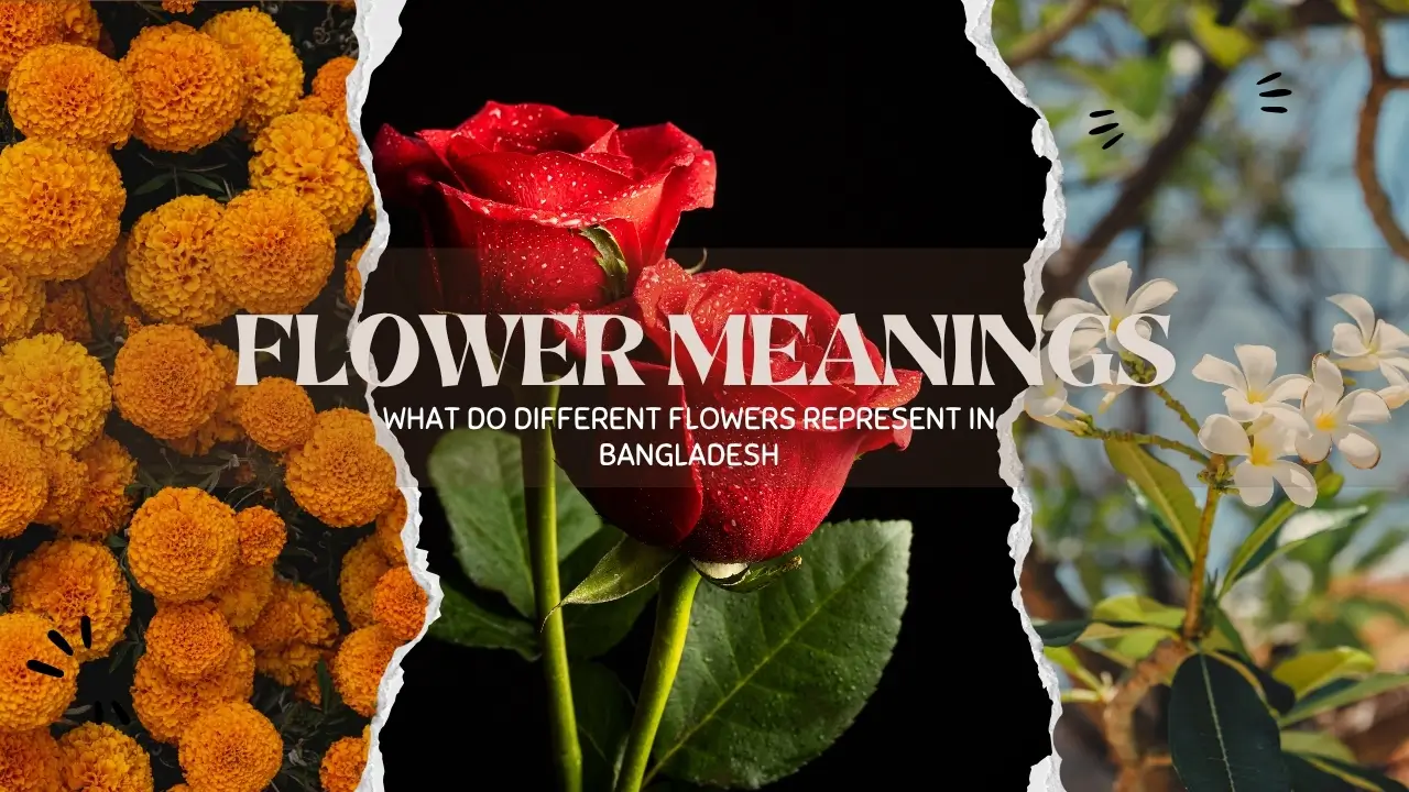 flower-meanings